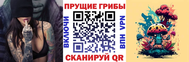 Псилоцибиновые грибы мухоморы  где купить наркоту  Торжок 